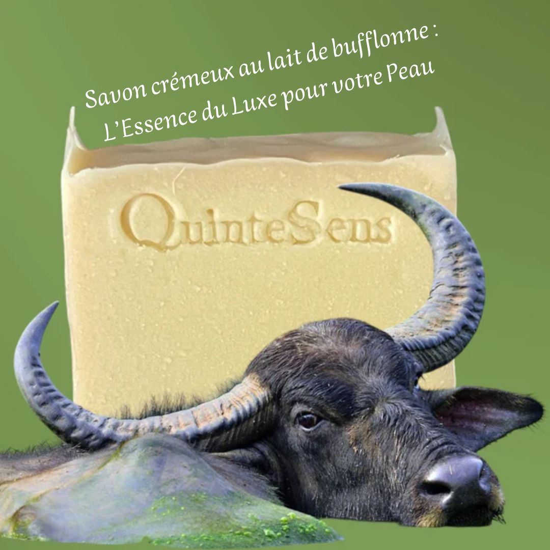 Le Savon au Lait de Bufflonne : un Soin Local d'une Richesse Infinie.