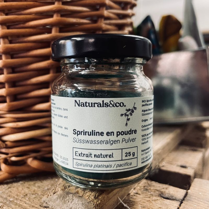 Spiruline en poudre