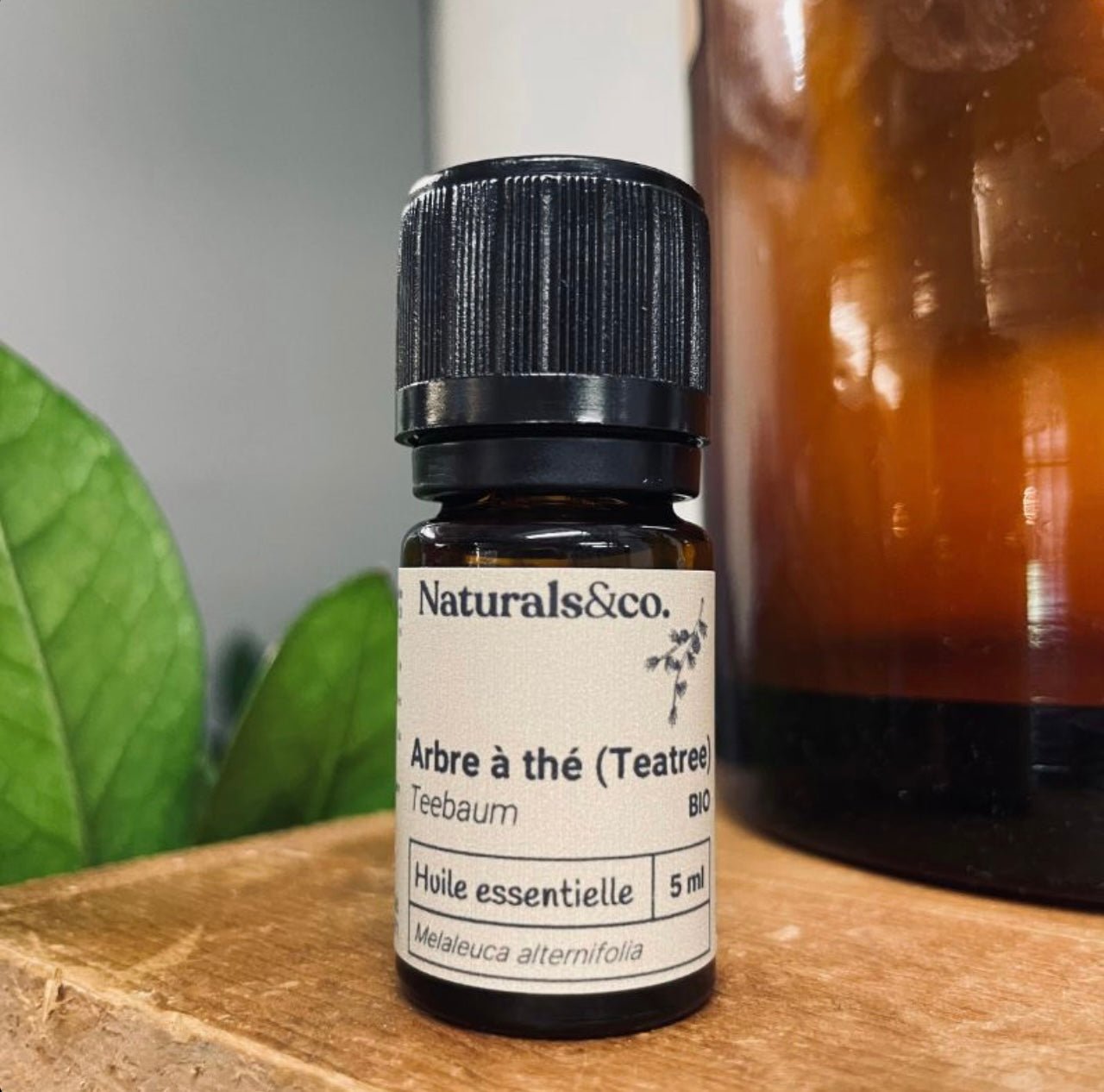 Huile essentielle Arbre à thé bio par Naturals&co - QuinteSens