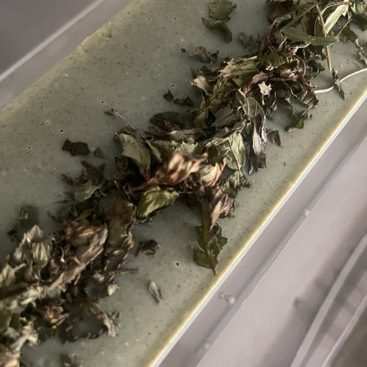 Brennnesselshampoo: ein Boost für Ihr Haar