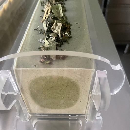 Le Shampoing à l'Ortie & Menthe poivrée