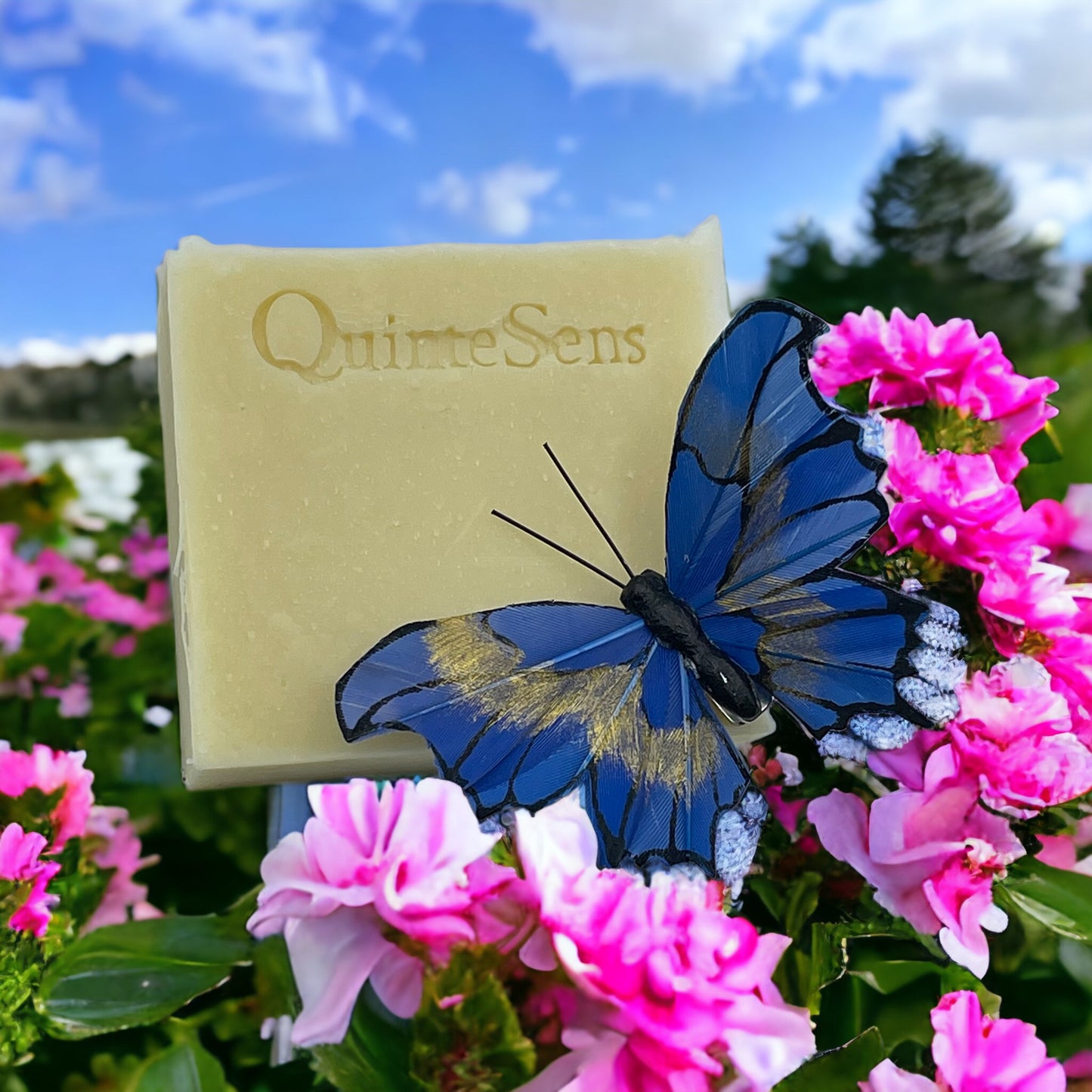 Savon à l'Aloe Vera : Apaisant et protecteur