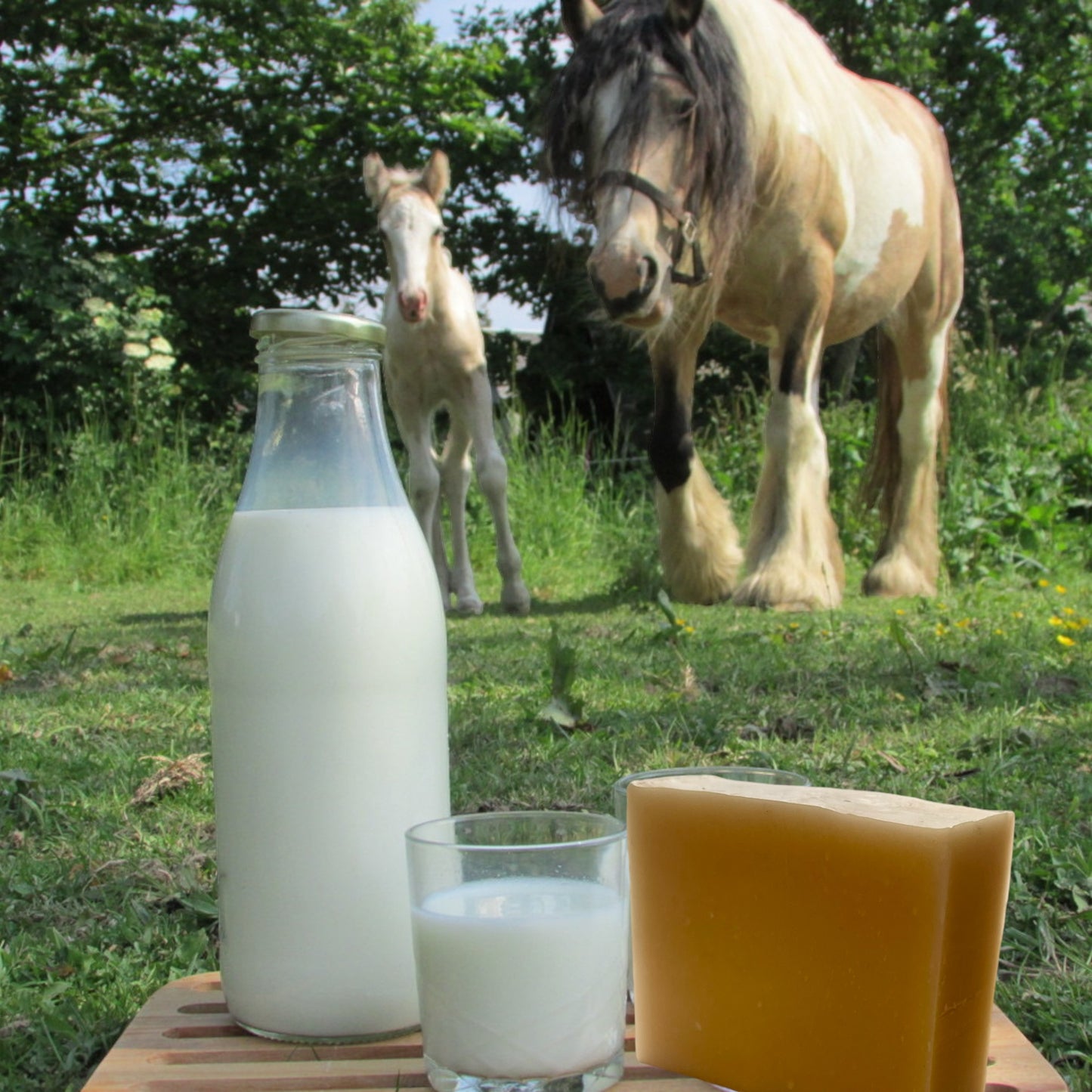 Mare's milk soap: for sensitive skin prone to skin problems