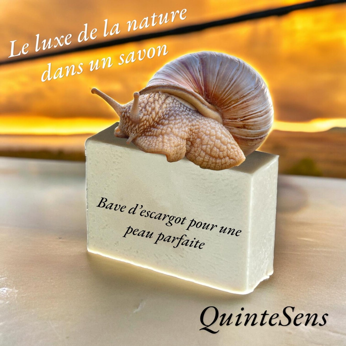 Savon à la Bave d'Escargot - Pour une Peau Parfaite - QuinteSens
