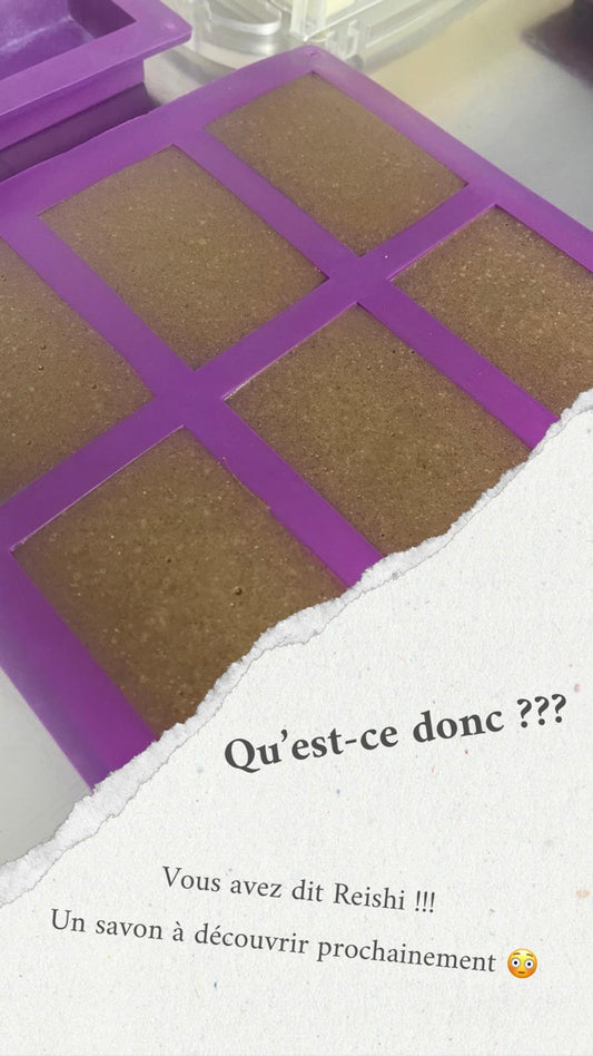 Le Reishi : le champignon de l’immortalité au service de la peau