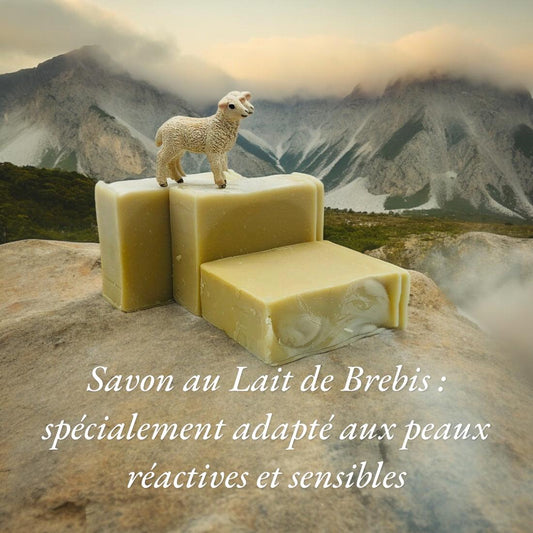 Lait de Brebis : L'Ingrédient Naturel pour une Peau Douce et Nourrie - QuinteSens