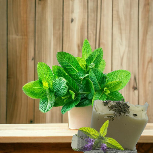 Le Saindoux dans la Savonnerie : Une Tradition Ancienne pour une Peau Douce - QuinteSens