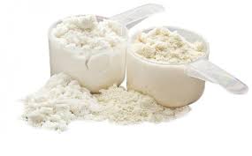 Poudre de lait