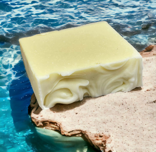 Shampoing Le Basic - Simplicité et Efficacité pour Toute la Famille