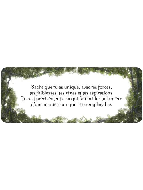 Le Petit Oracle de l'Estime de Soi