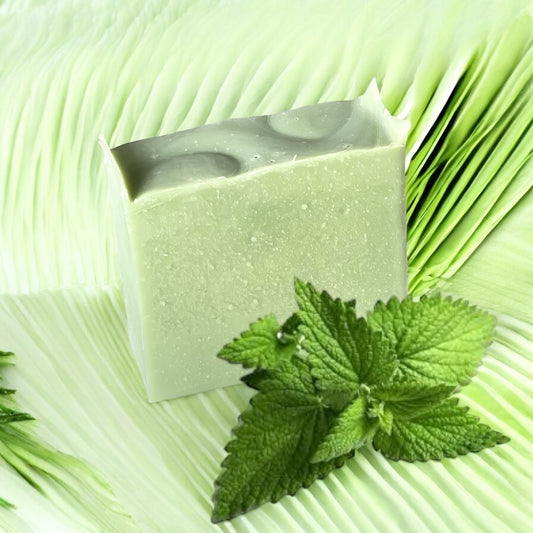 Le Mentholé : Un Souffle de Fraîcheur Givrée et une Nutrition Intense.