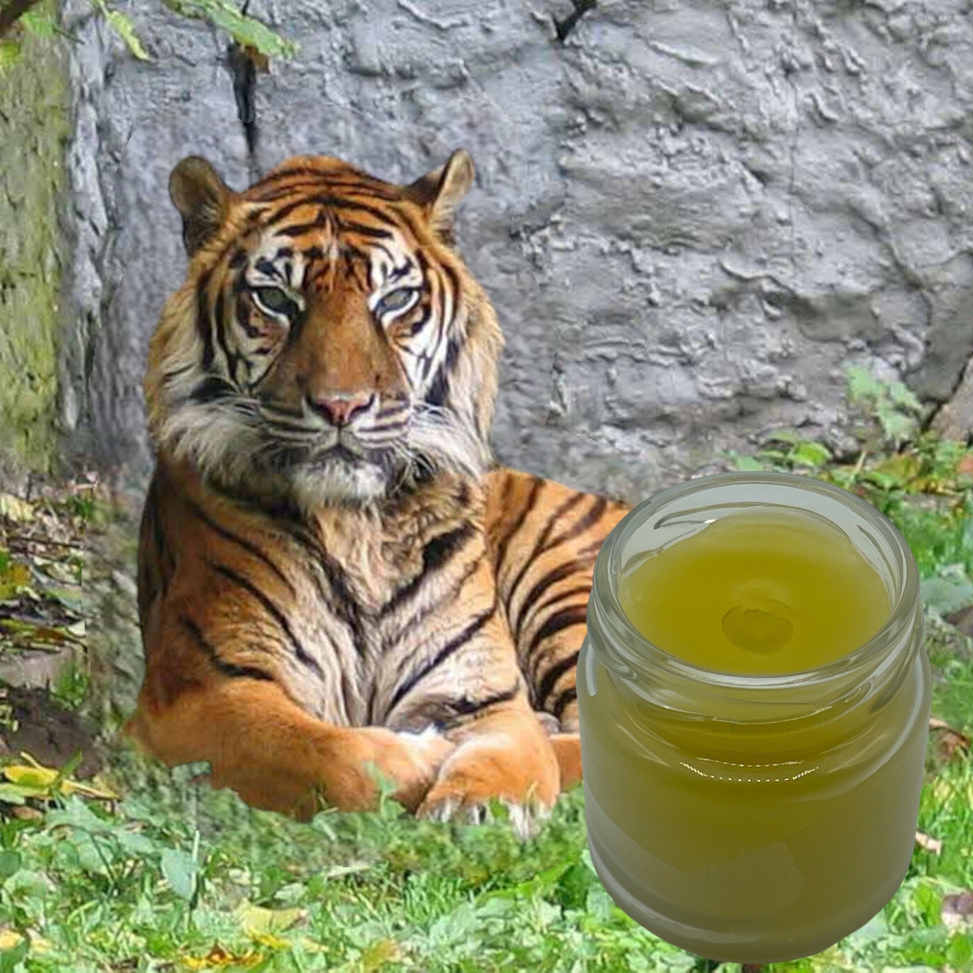 Baume des Tigresses : apaisant et décongestionnant - QuinteSens
