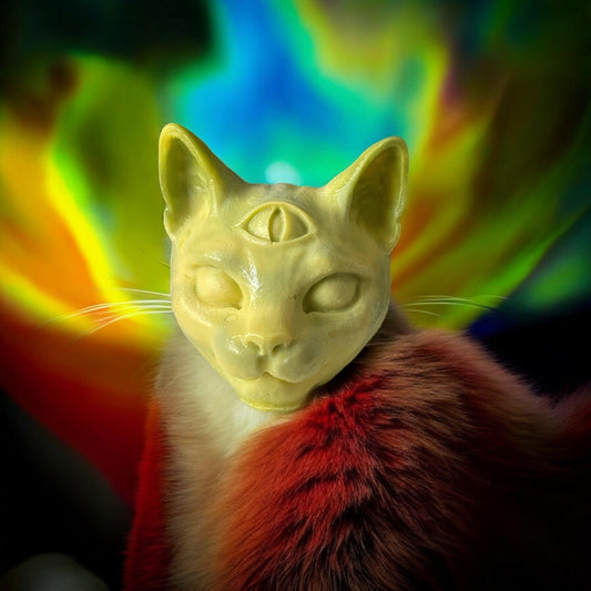 Chat - QuinteSens