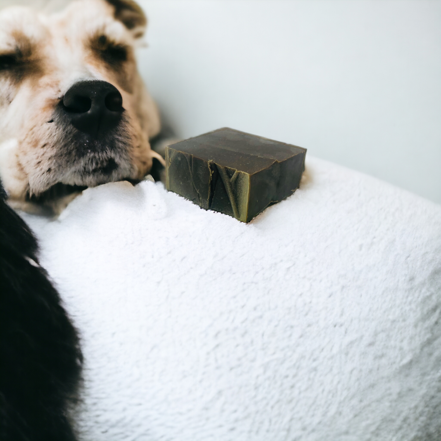 Shampoing pour chien à l'huile de Neem et aux huiles essentielles
