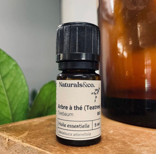 Huile essentielle Arbre à thé bio par Naturals&co - QuinteSens