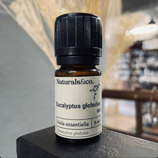 Huile essentielle Eucalyptus globulus Bio par Naturals&co - QuinteSens