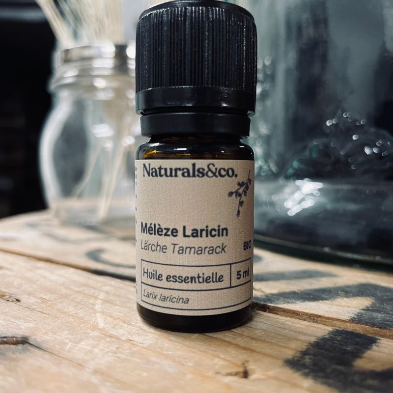 Huile essentielle Mélèze laricin bio par Naturals&co - QuinteSens