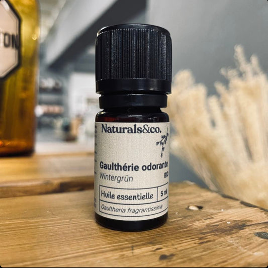 Ätherisches Bio-Wintergrünöl