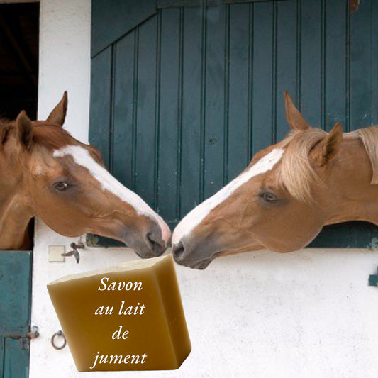 Le Savon au Lait de Jument : La Douceur Originelle pour un Équilibre Parfait.