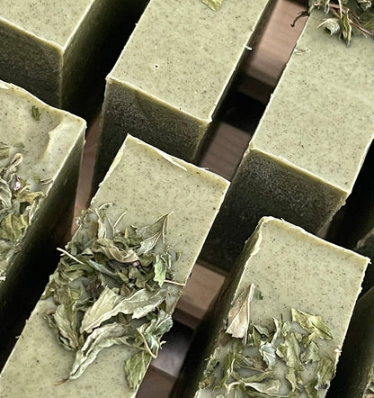 Le Shampoing à l'Ortie & Menthe poivrée - QuinteSens