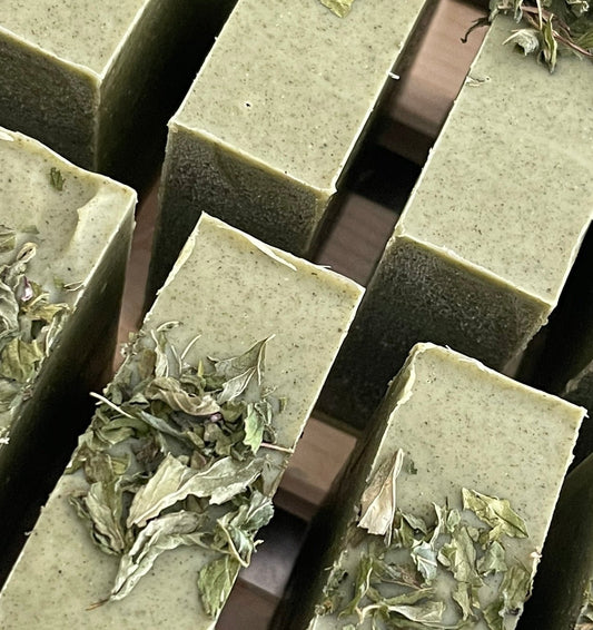 Le Shampoing à l'Ortie & Menthe poivrée - QuinteSens