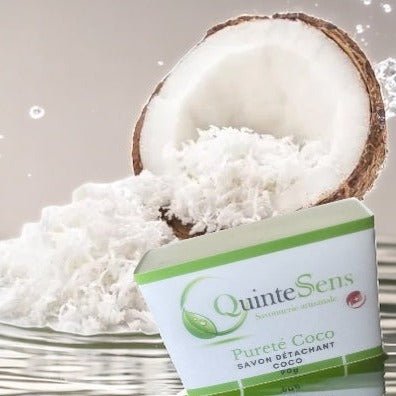 Pureté Coco : Le Détachant Ultime pour des Taches Impeccables - QuinteSens