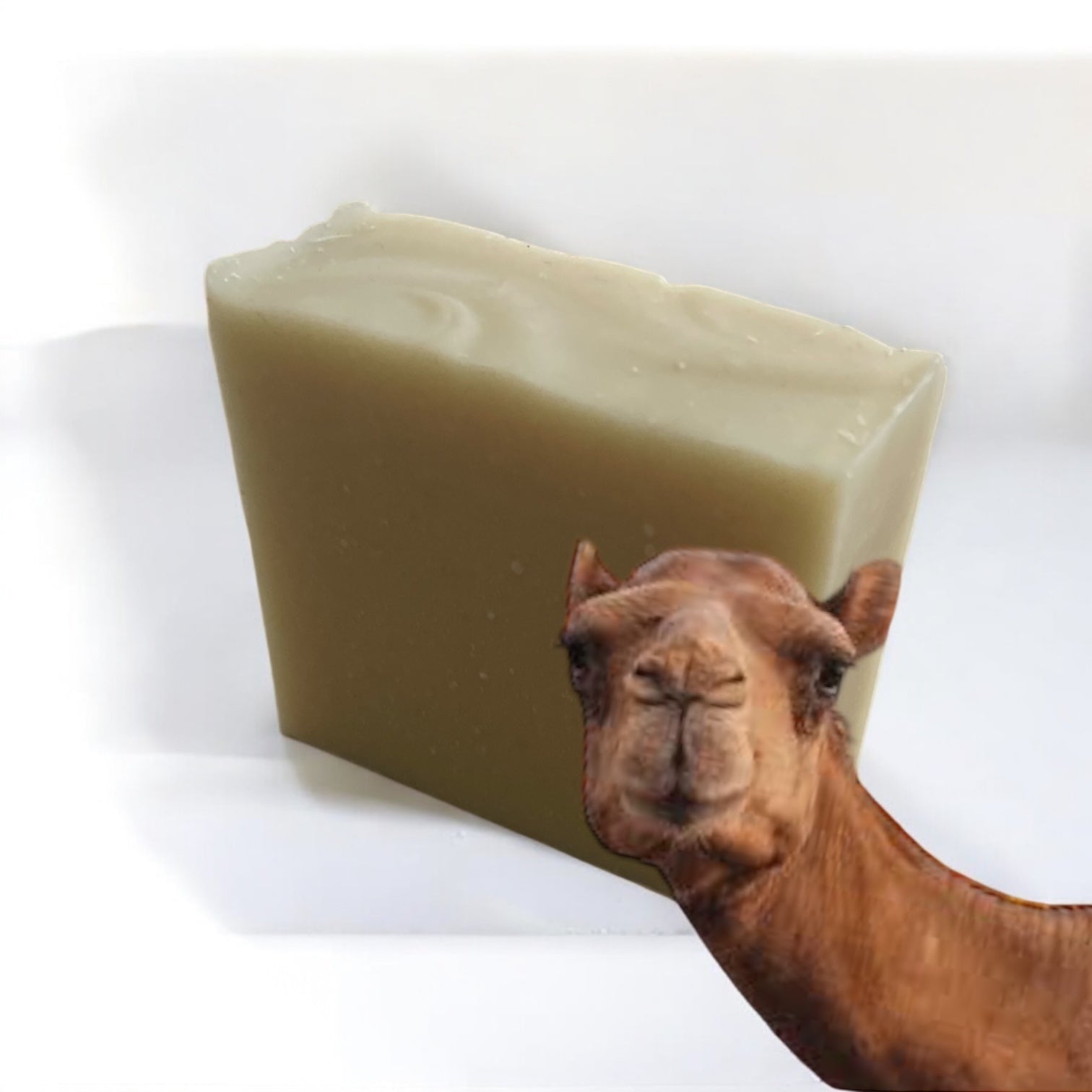 Savon au Lait de Chamelle : L'Élixir Régénérant des Peaux Assoiffées. - QuinteSens