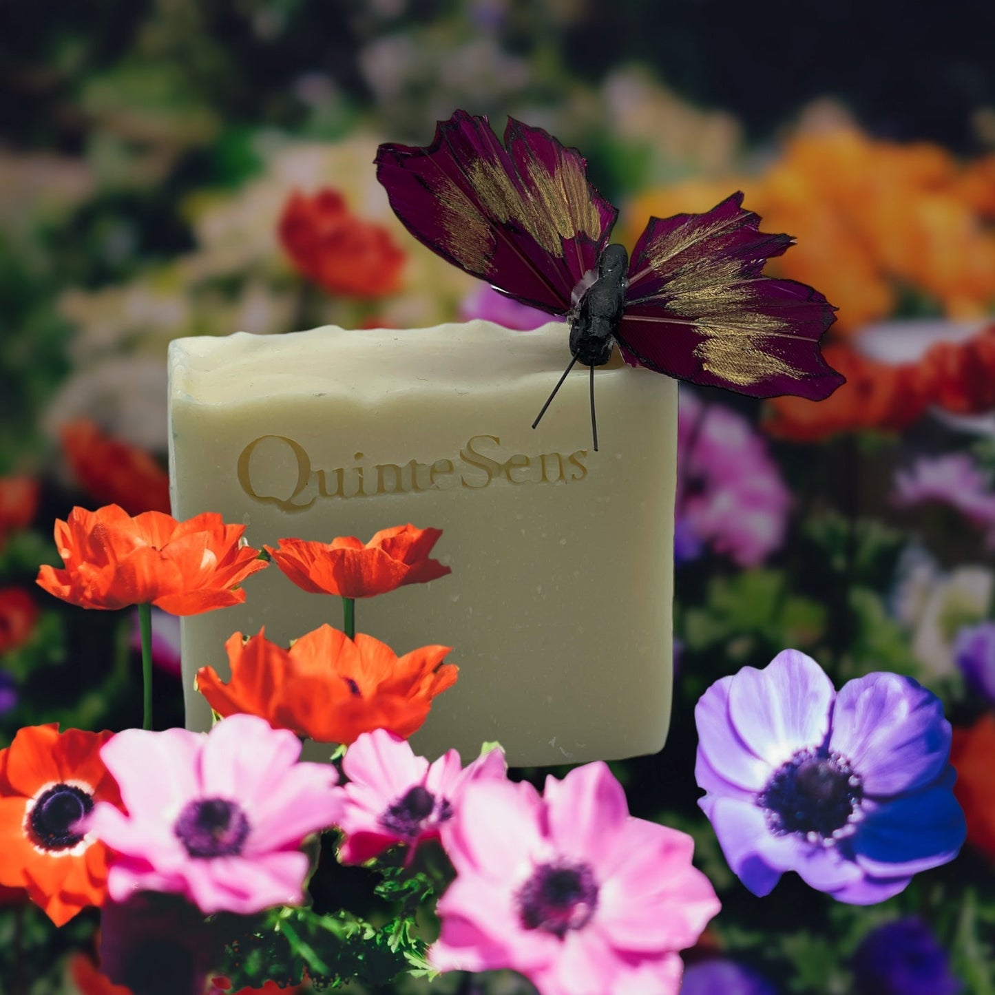 Savon Cléopâtre : La Quintessence pour votre peau - QuinteSens